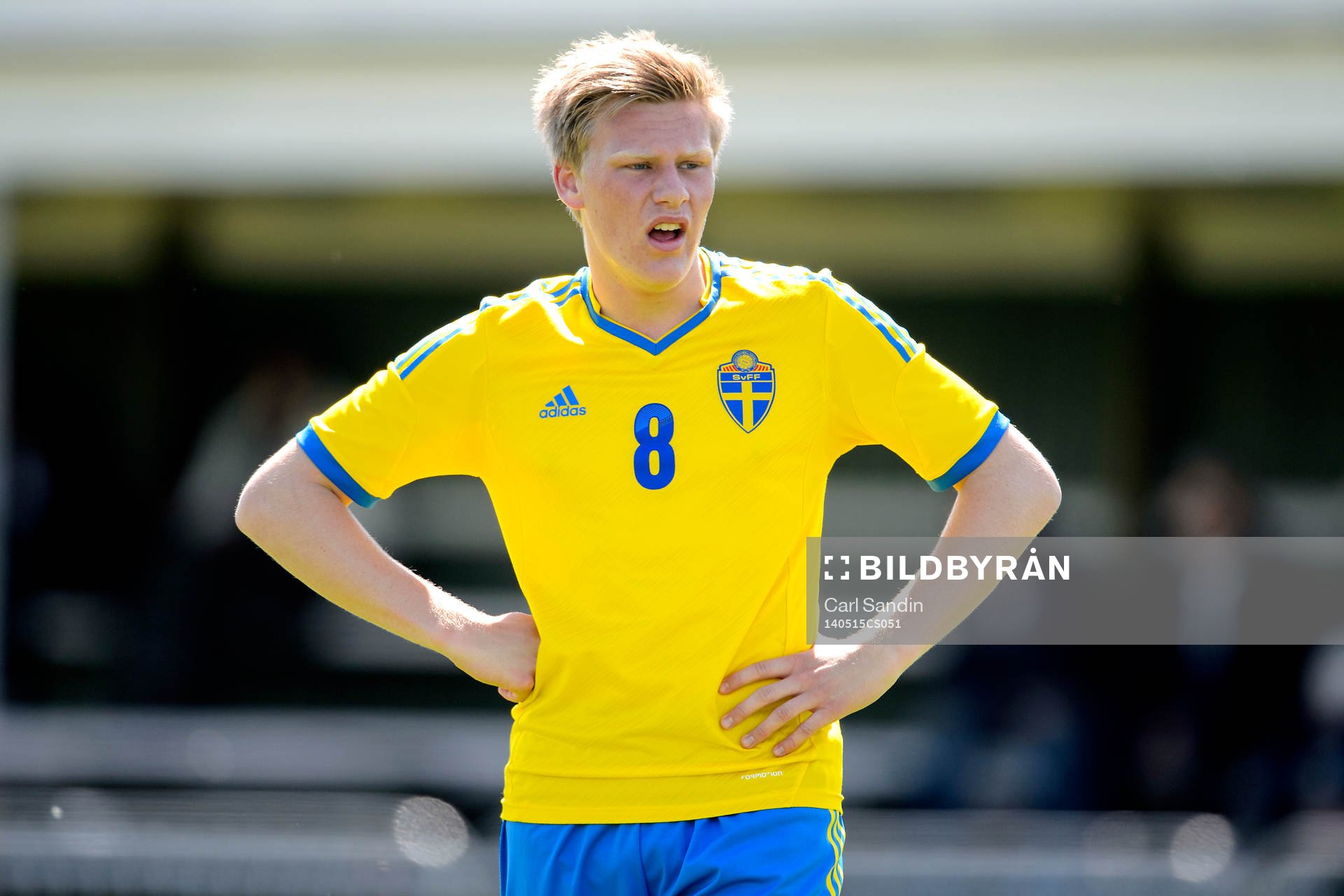 Sveriges Alexander Arvidsson