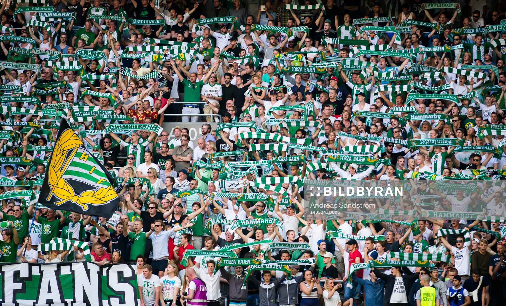 Hammarbys supportar håller upp halsdukar