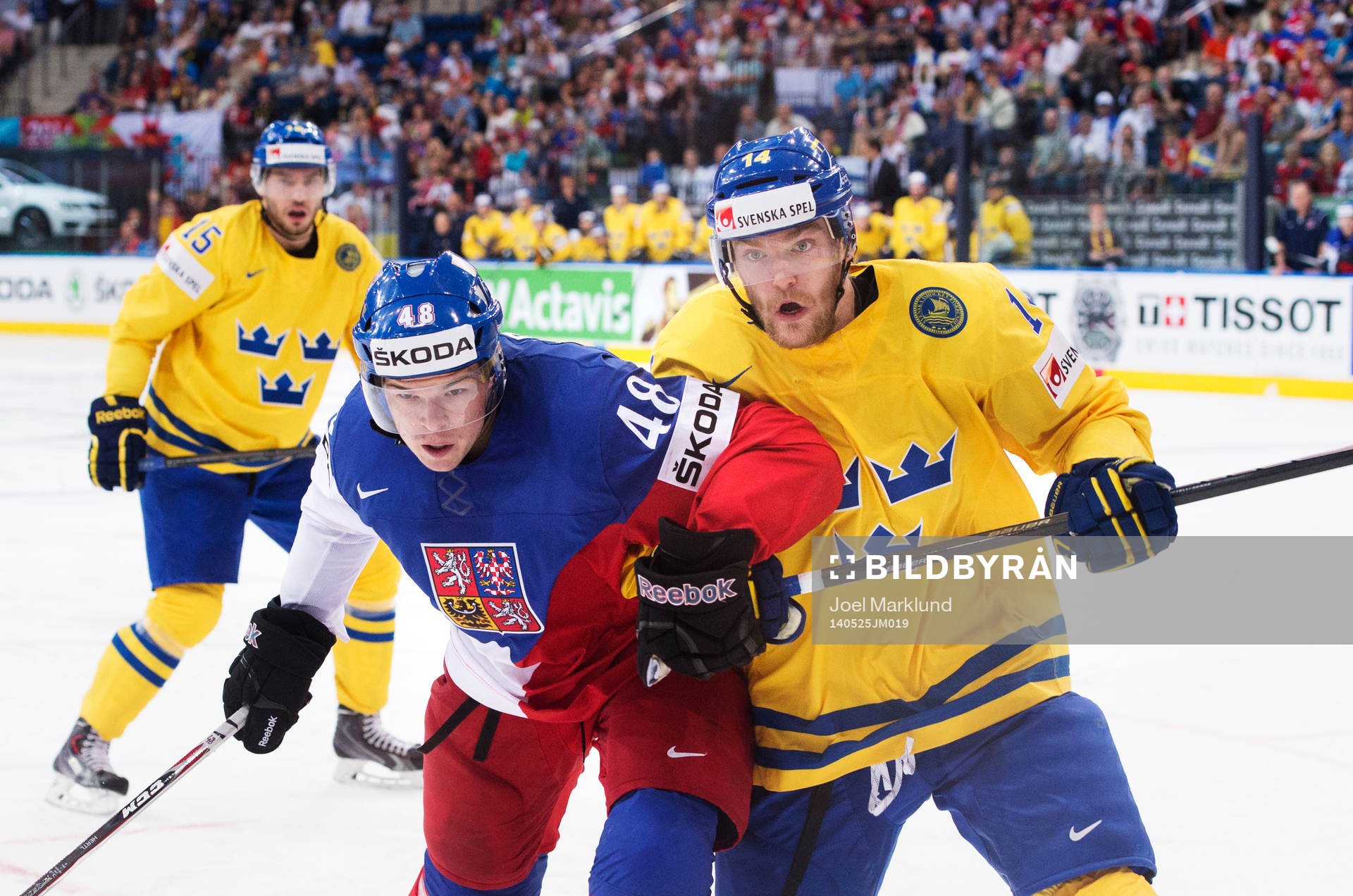 Tjeckiens Tomas Hertl och Sveriges Mattias Ekholm