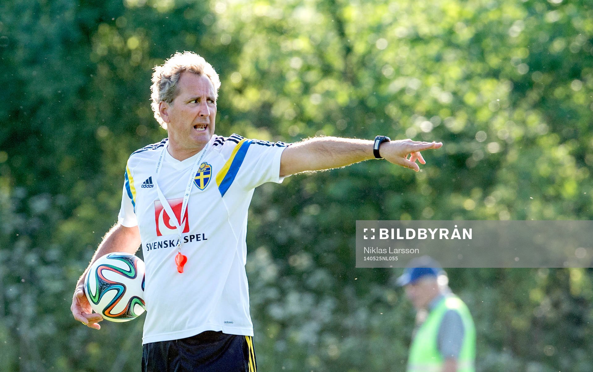 Sveriges förbundskapten Erik Hamrén