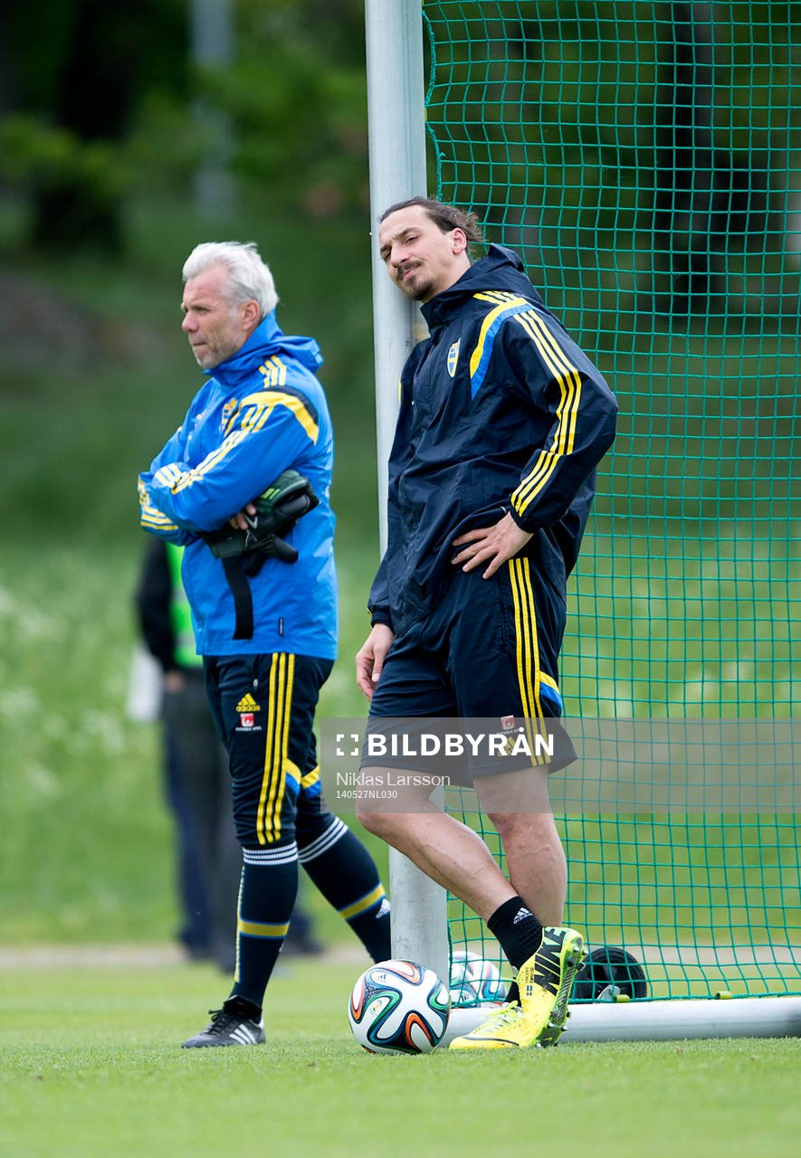 Sveriges Zlatan Ibrahimovic
