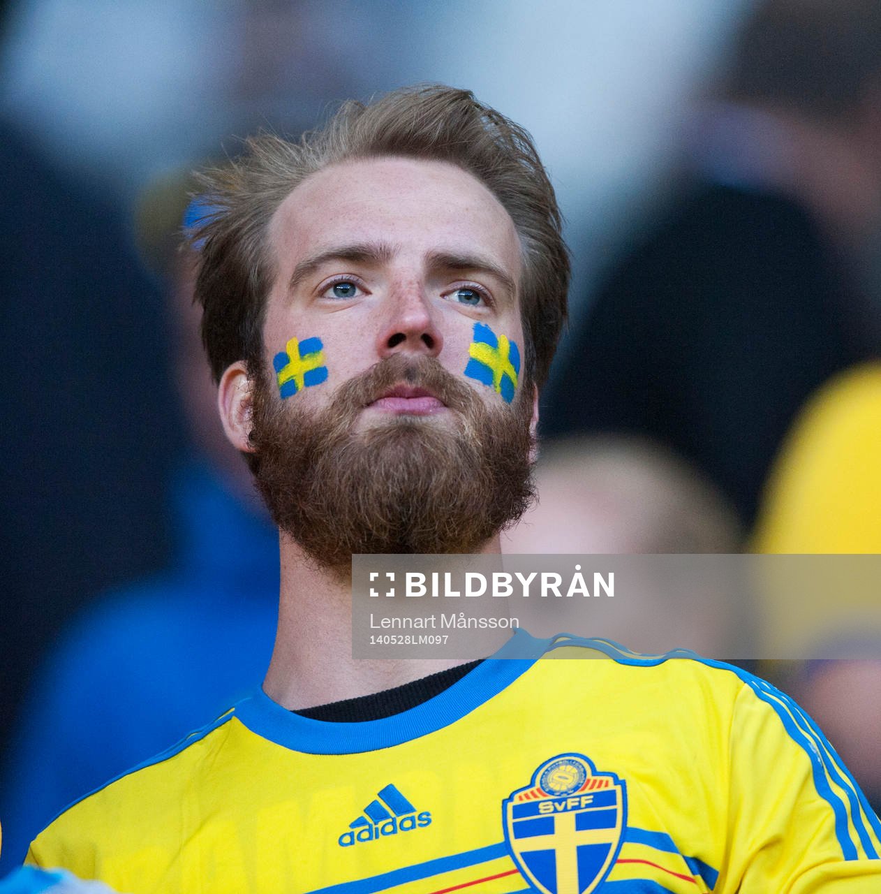  Svenska supporters i landskampen mellan Danmark och Sverige i Köpenhamn 28 maj  2014.