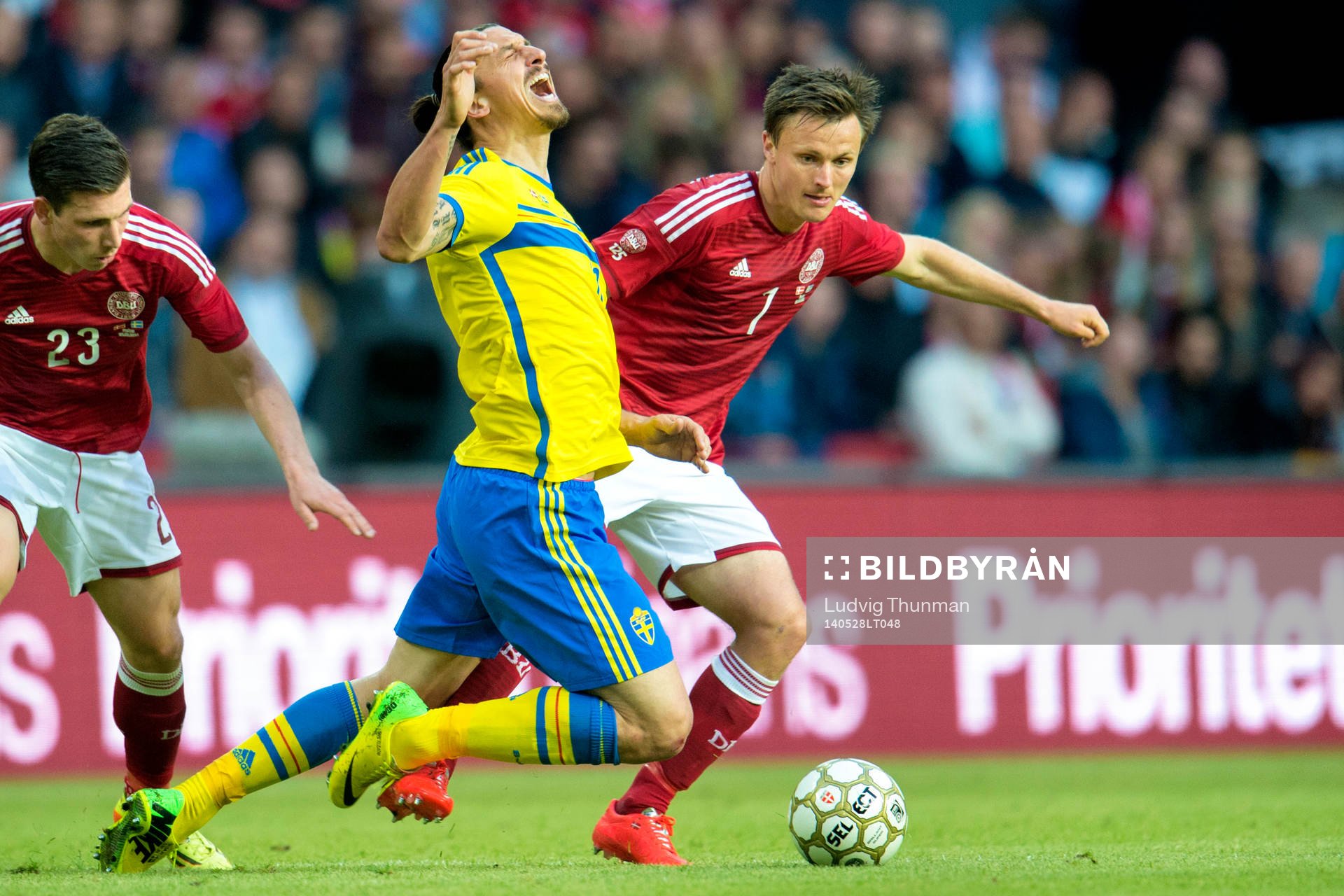 Sveriges Zlatan Ibrahimovic faller i kamp om bollen med