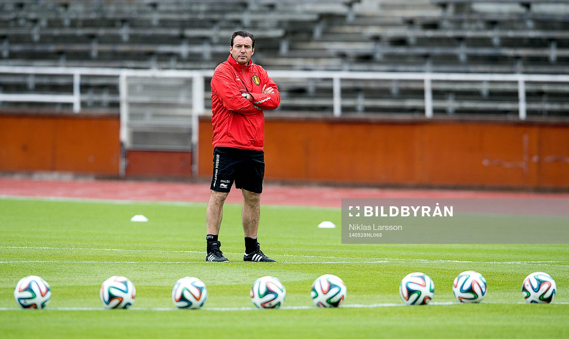 Marc Wilmots