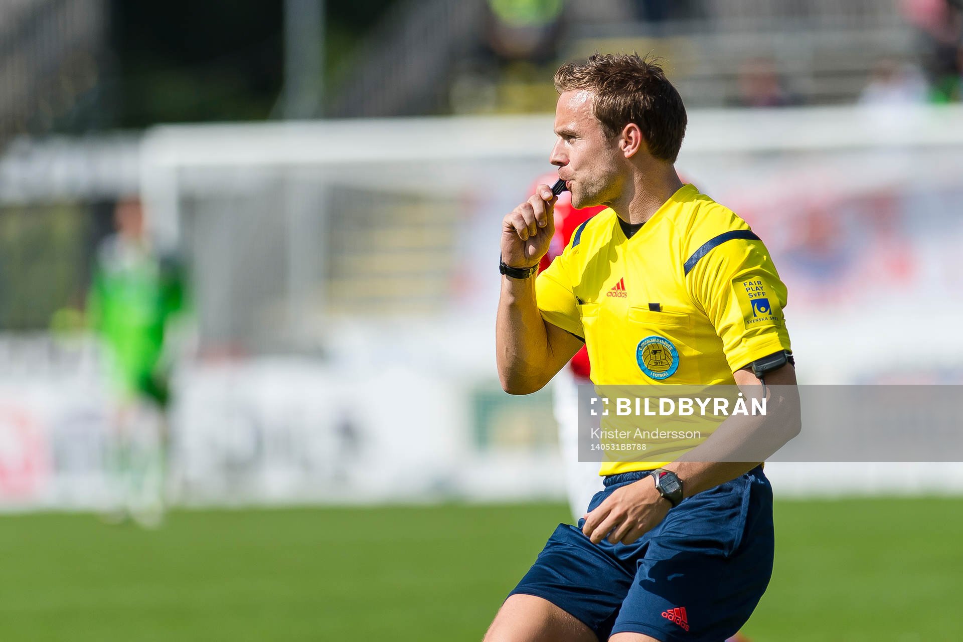 Domare Kristoffer Karlsson