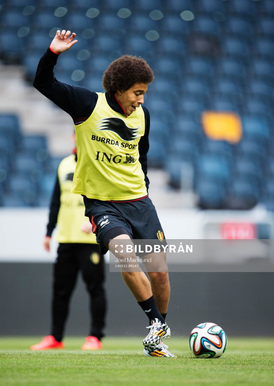 Axel Witsel