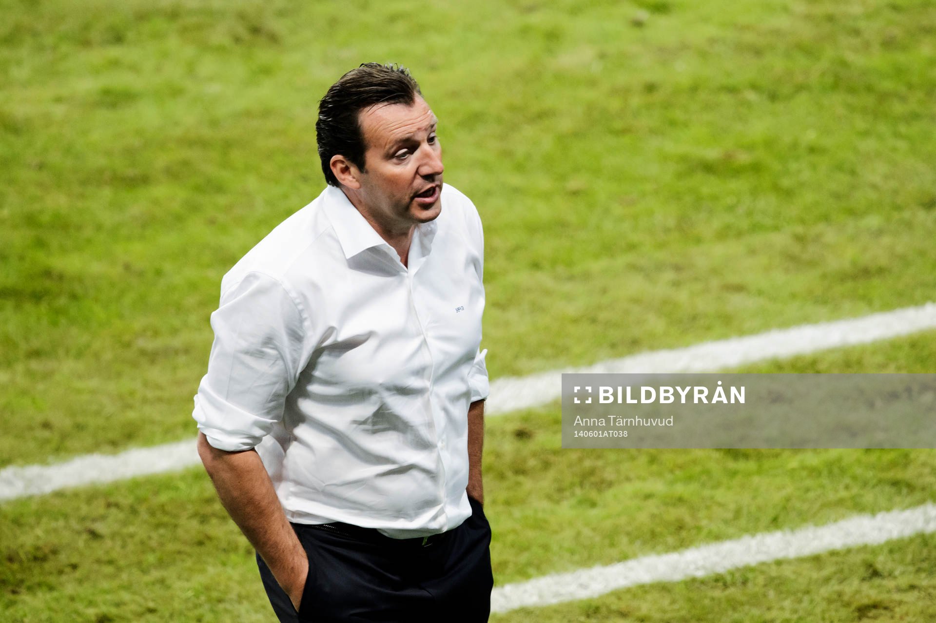 Belgiens förbundskapten Marc Wilmots