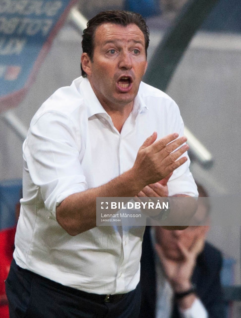  Belgiens förbundskapten Marc Wilmots i träningslandskampen i mellan Sverige och Belgien i Stockholm 1 juni 2014.