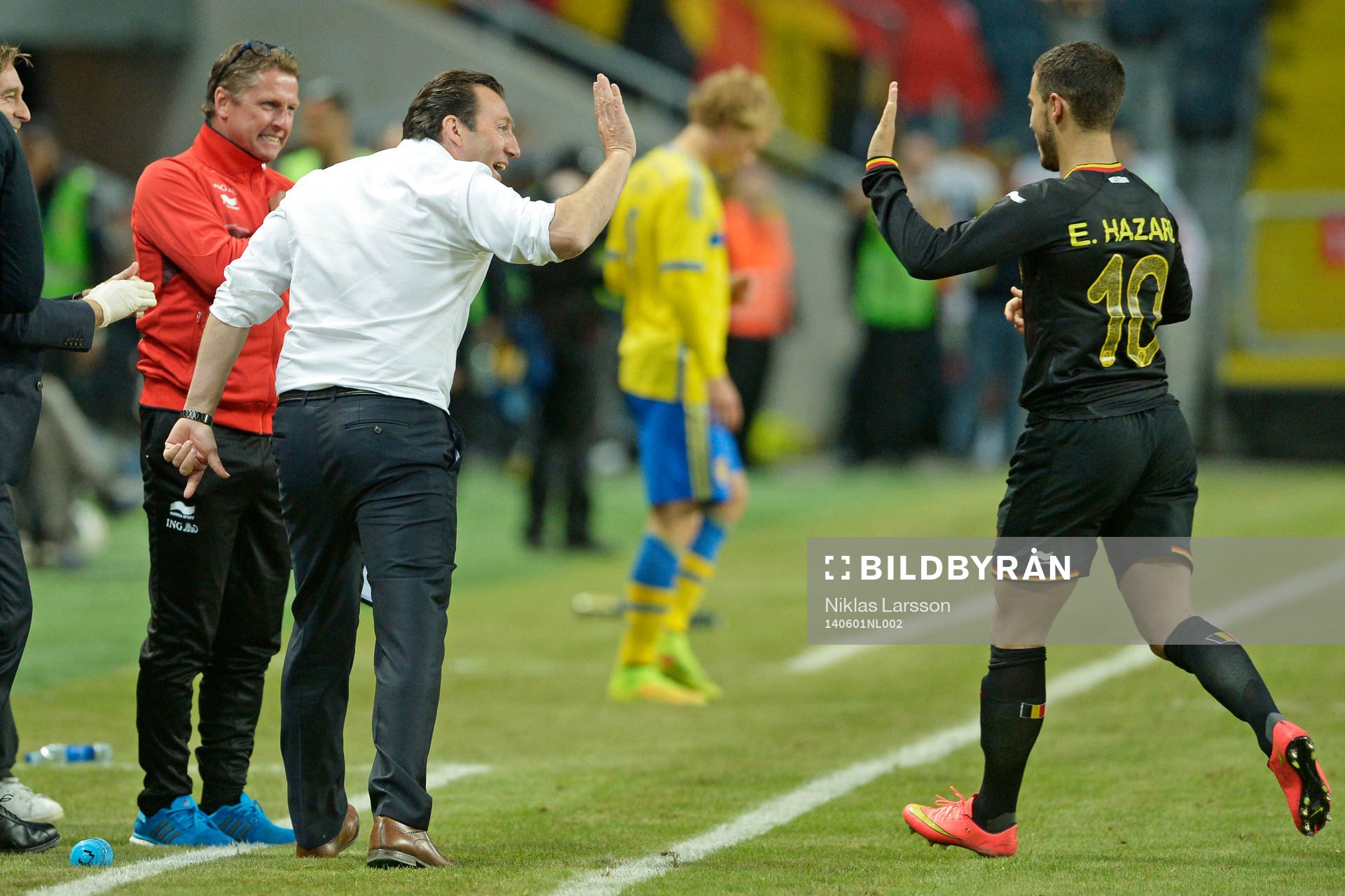Belgiens tränare Marc Wilmots och Eden Hazard jublar