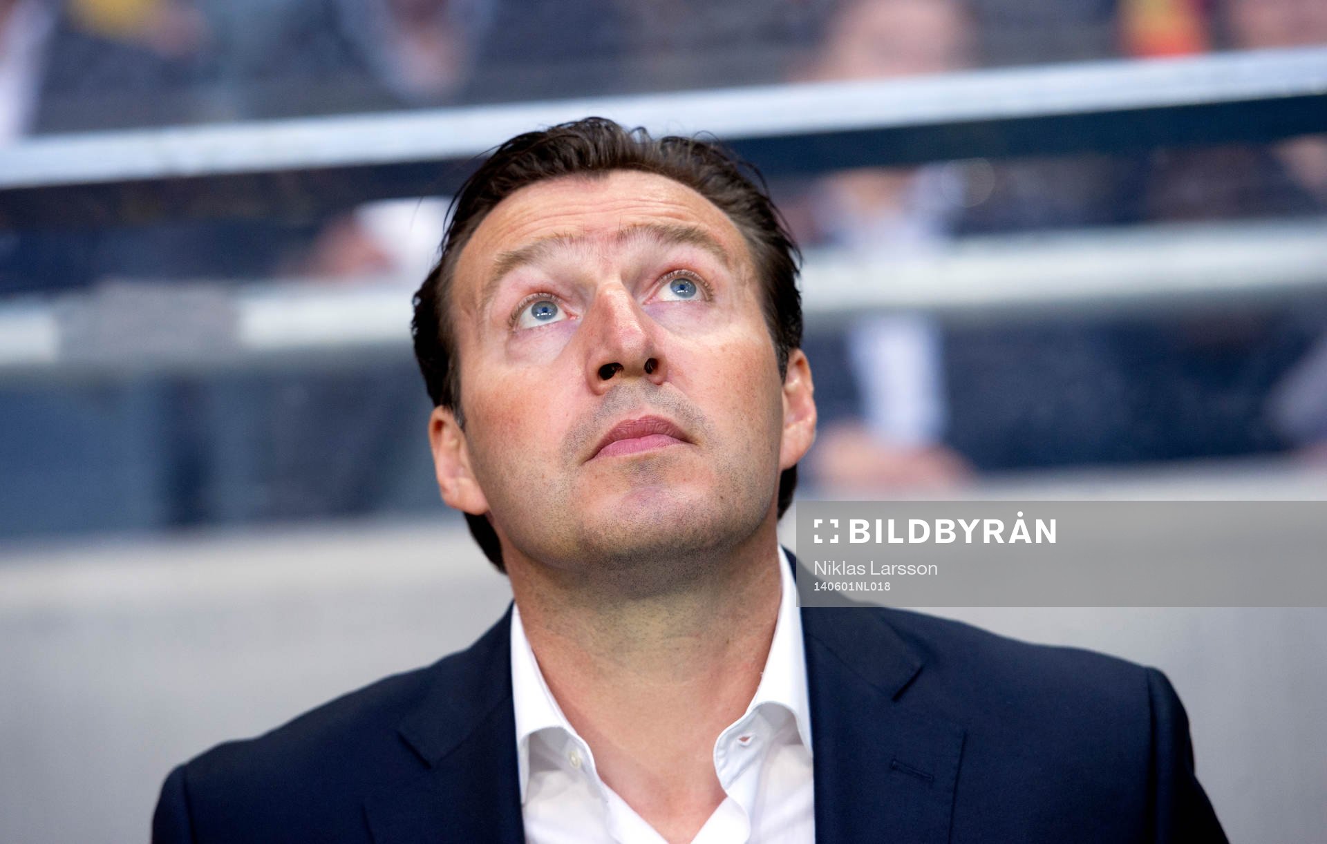 Belgiens förbundskapten Marc Wilmots