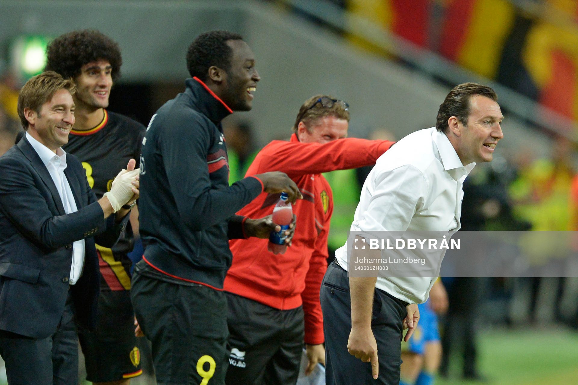 Belgiens tränare Marc Wilmots jublar