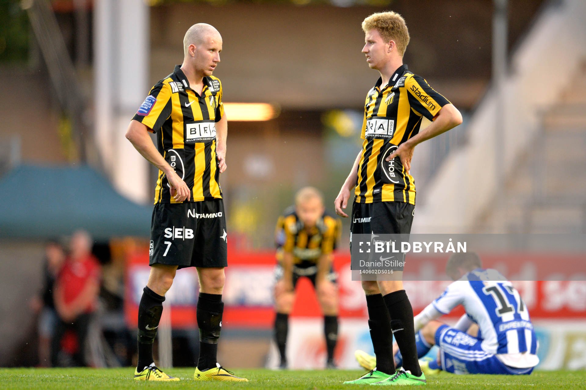 Häckens bröder Simon Gustafson och Samuel Gustafson