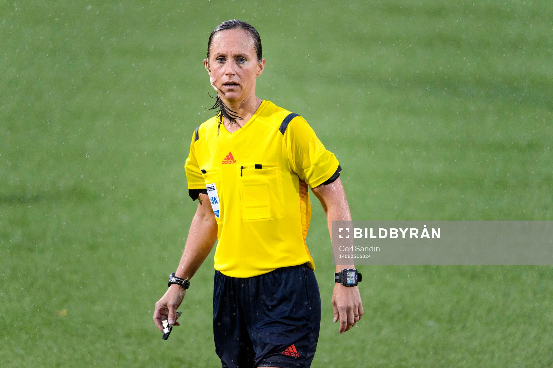 Domare Pernilla Larsson
