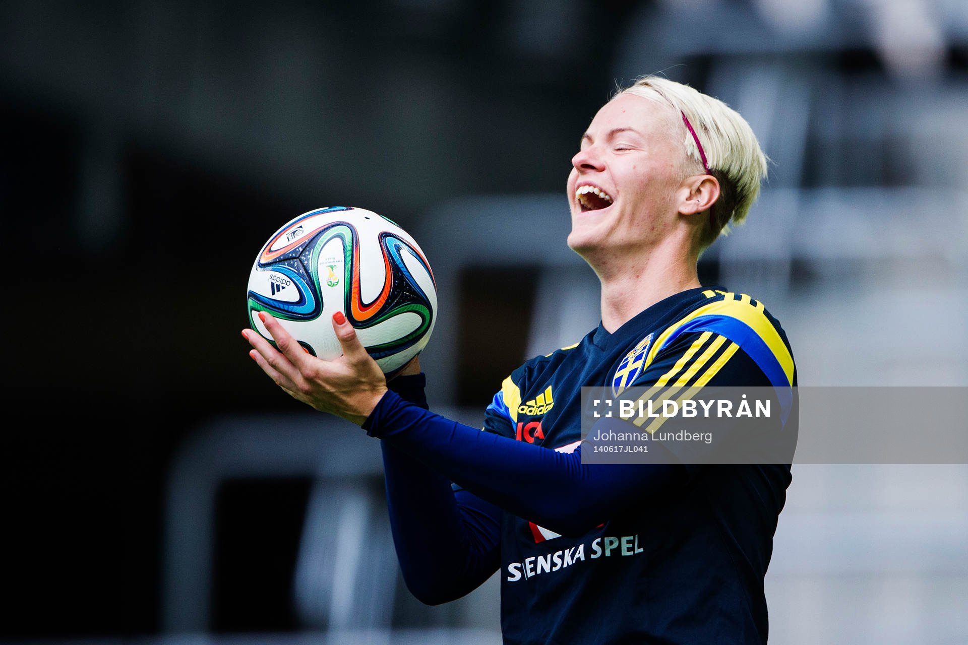 Sveriges Nilla Fischer