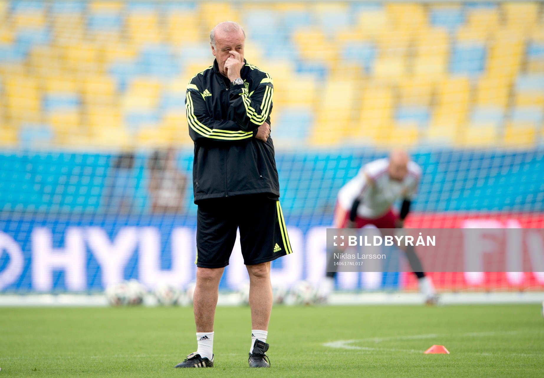 Spaniens tränare Vicente Del Bosque