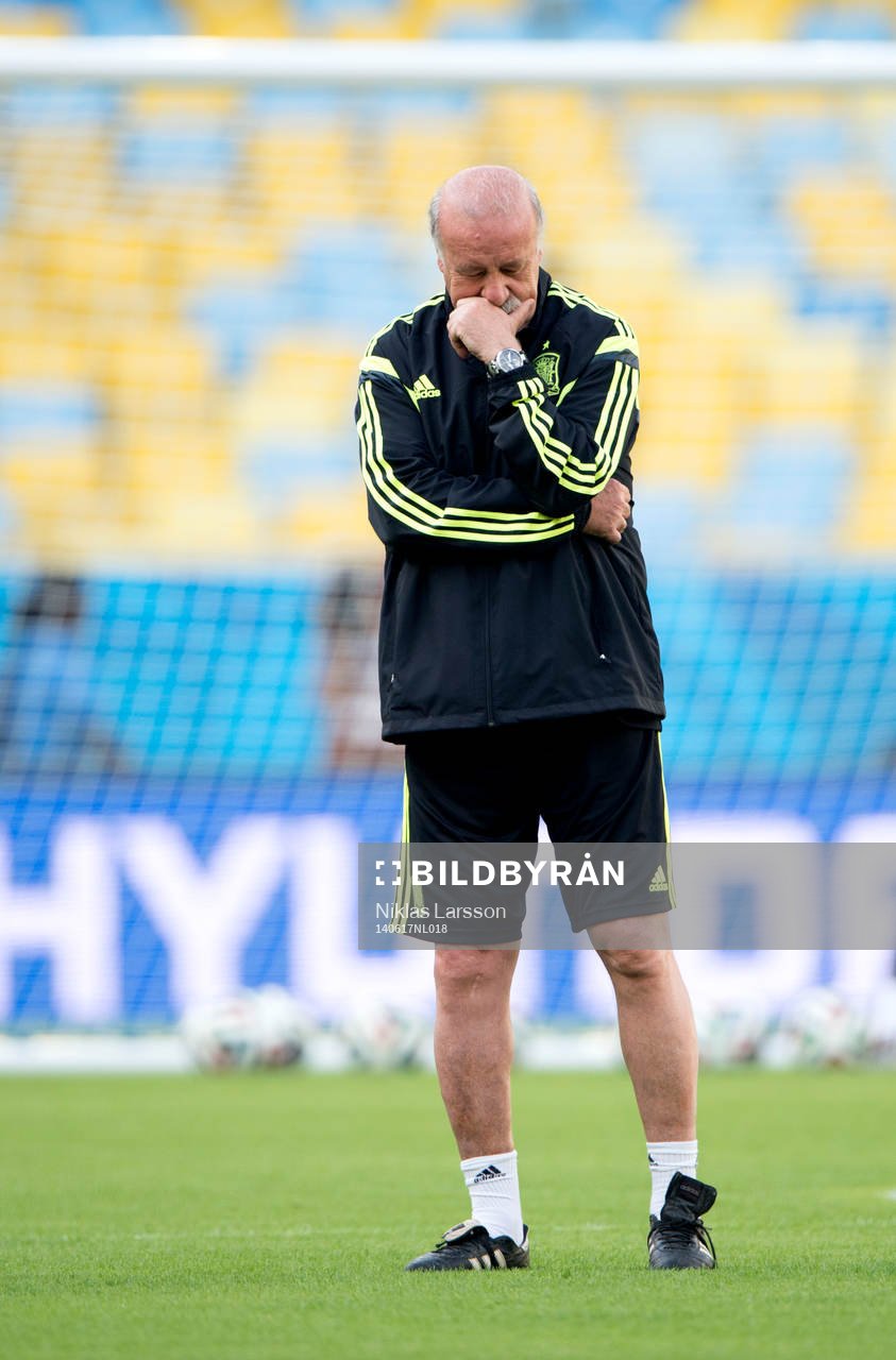 Spaniens tränare Vicente Del Bosque under spaniens träning under Fotbolls-VM den 17 juni 2014 i Rio de Janeiro.