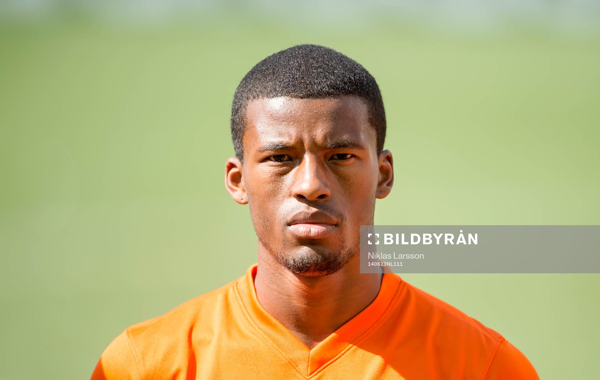 Hollands Leroy Fer