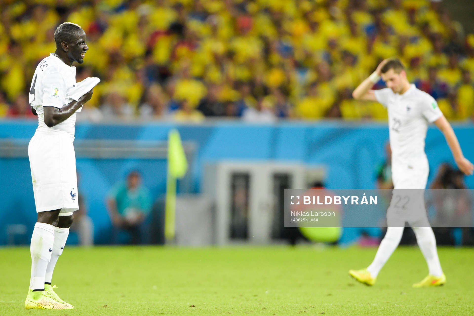Frankrikes Morgan Schneiderlin deppar