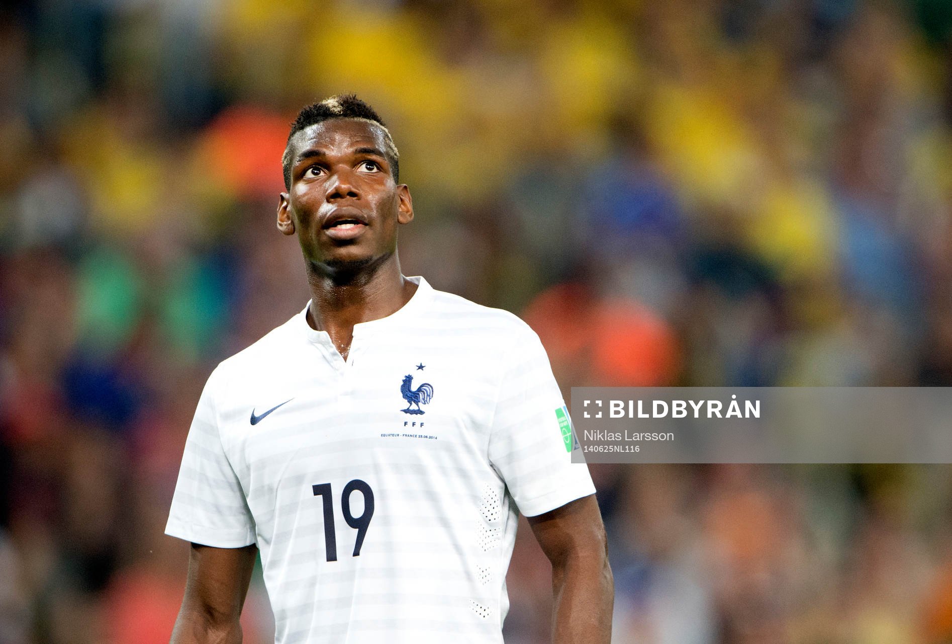 Frankrikes Paul Pogba