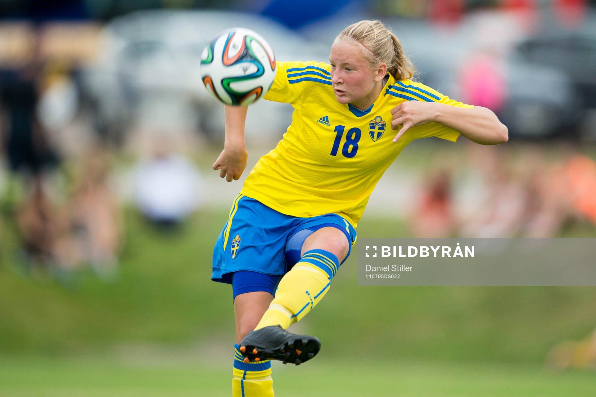 Sveriges Cassandra Korhonen