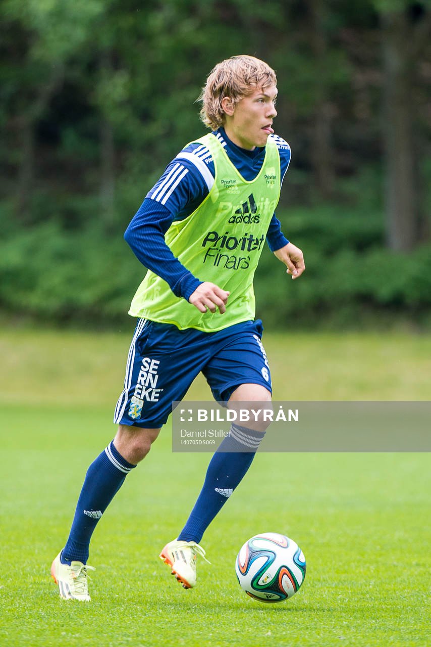 Ludwig Augustinsson