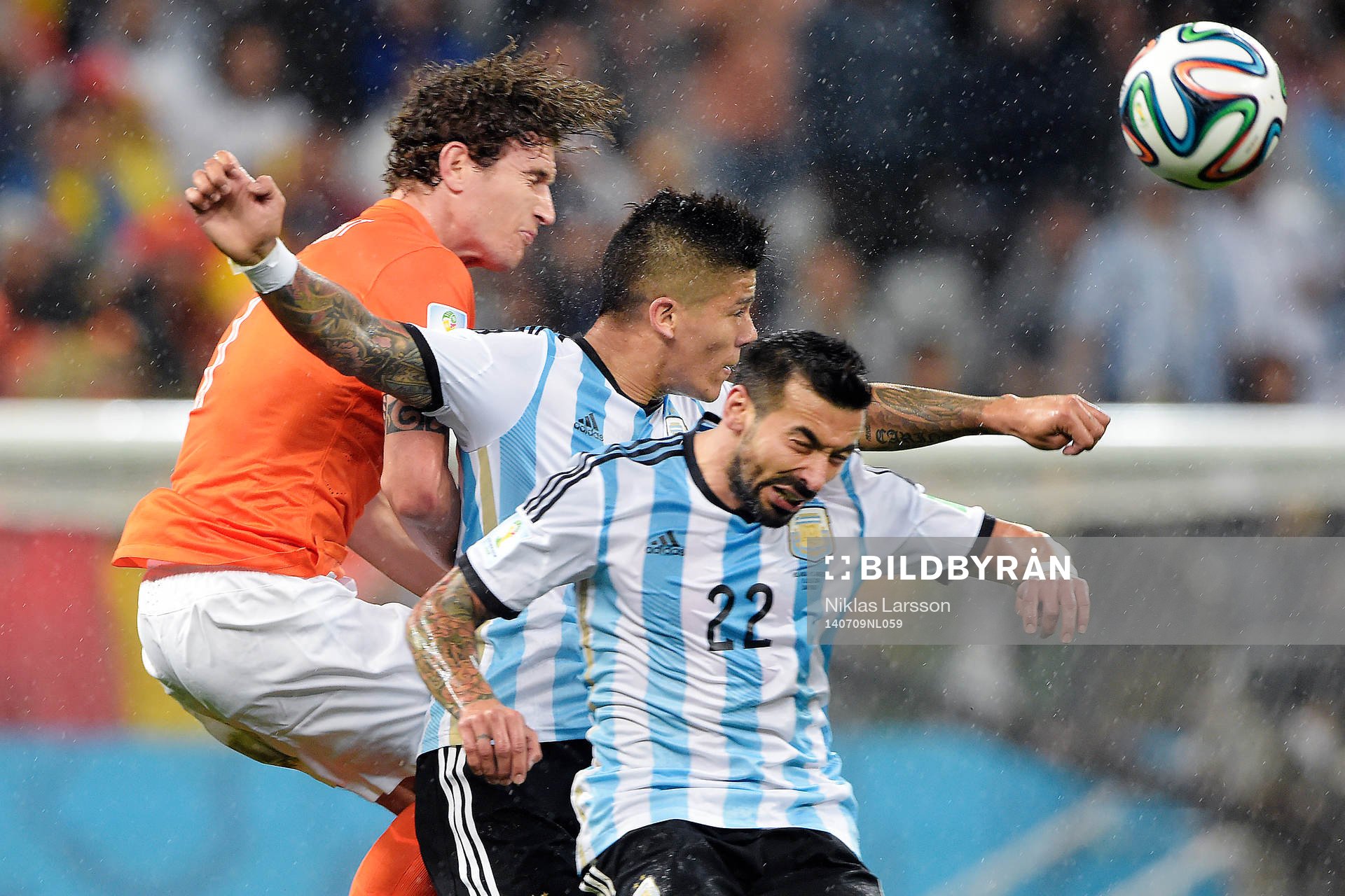Hollands Daley Blind