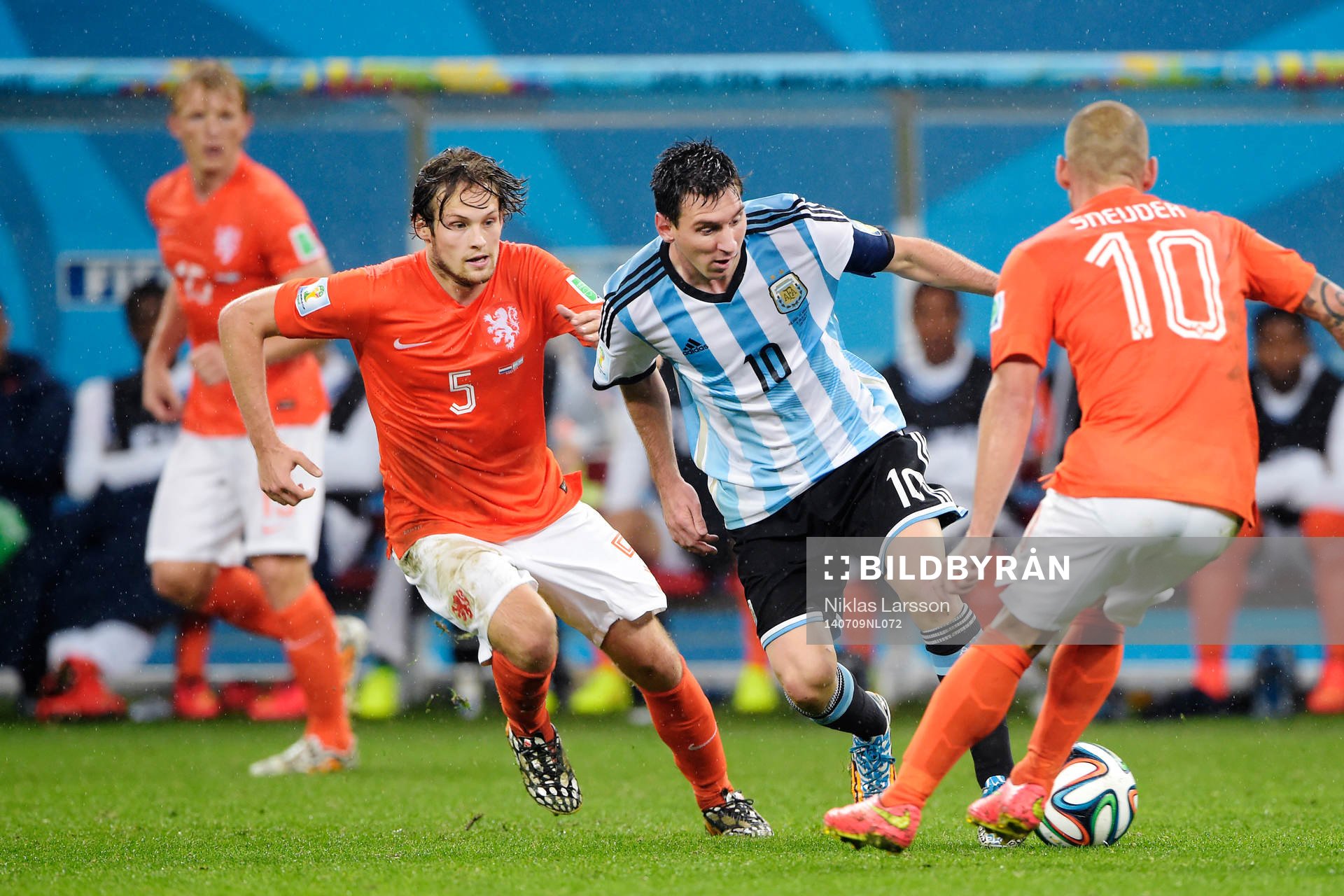 Hollands Daley Blind