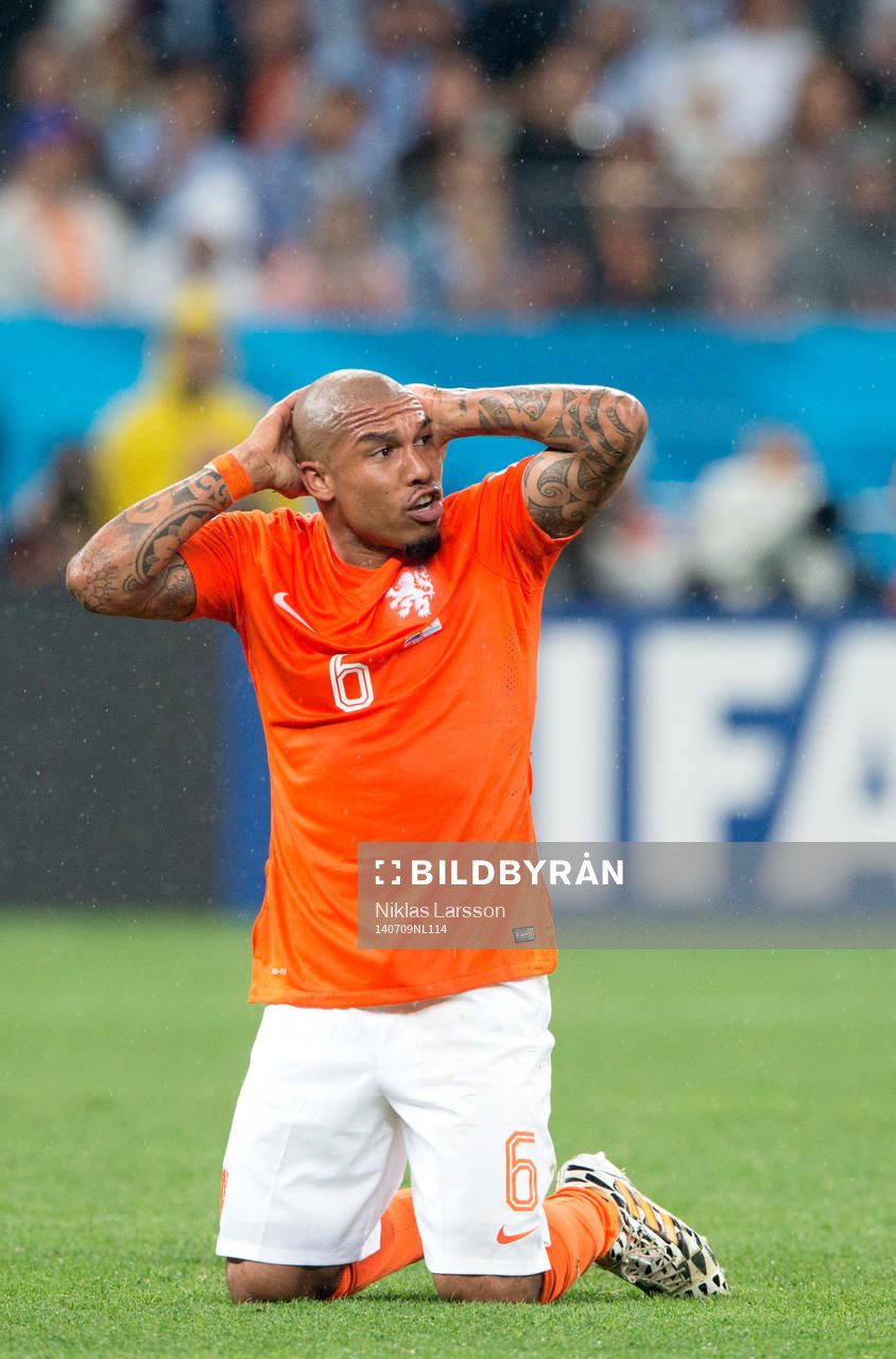 Hollands Nigel de Jong