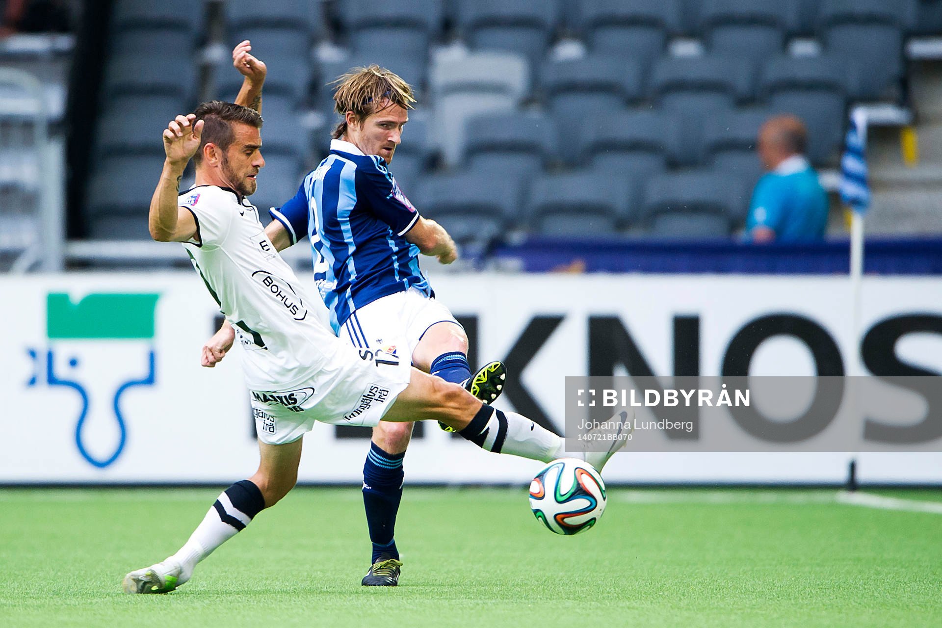 Häckens Björn Anklev