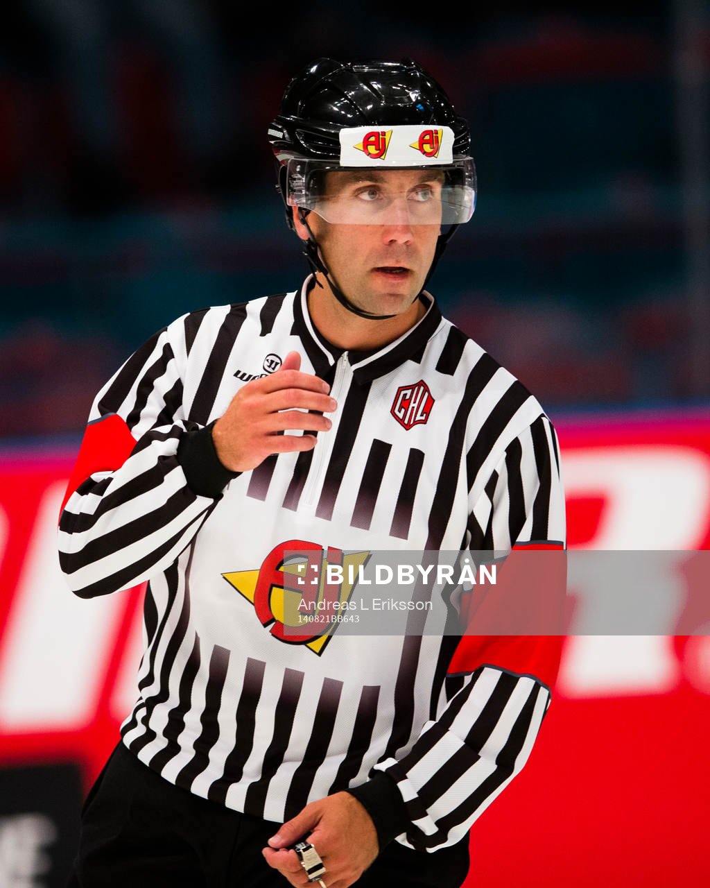 Domare Antti Boman