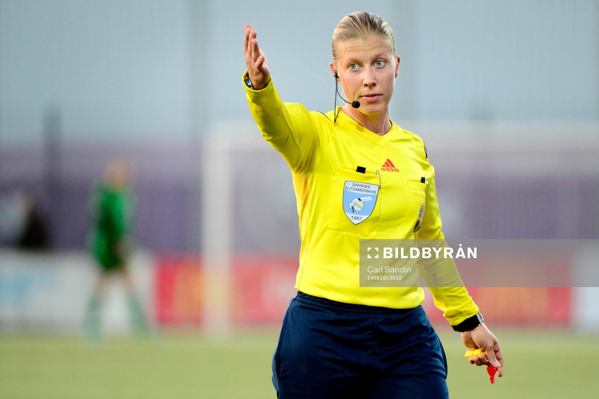 Domare Sandra Fogelberg