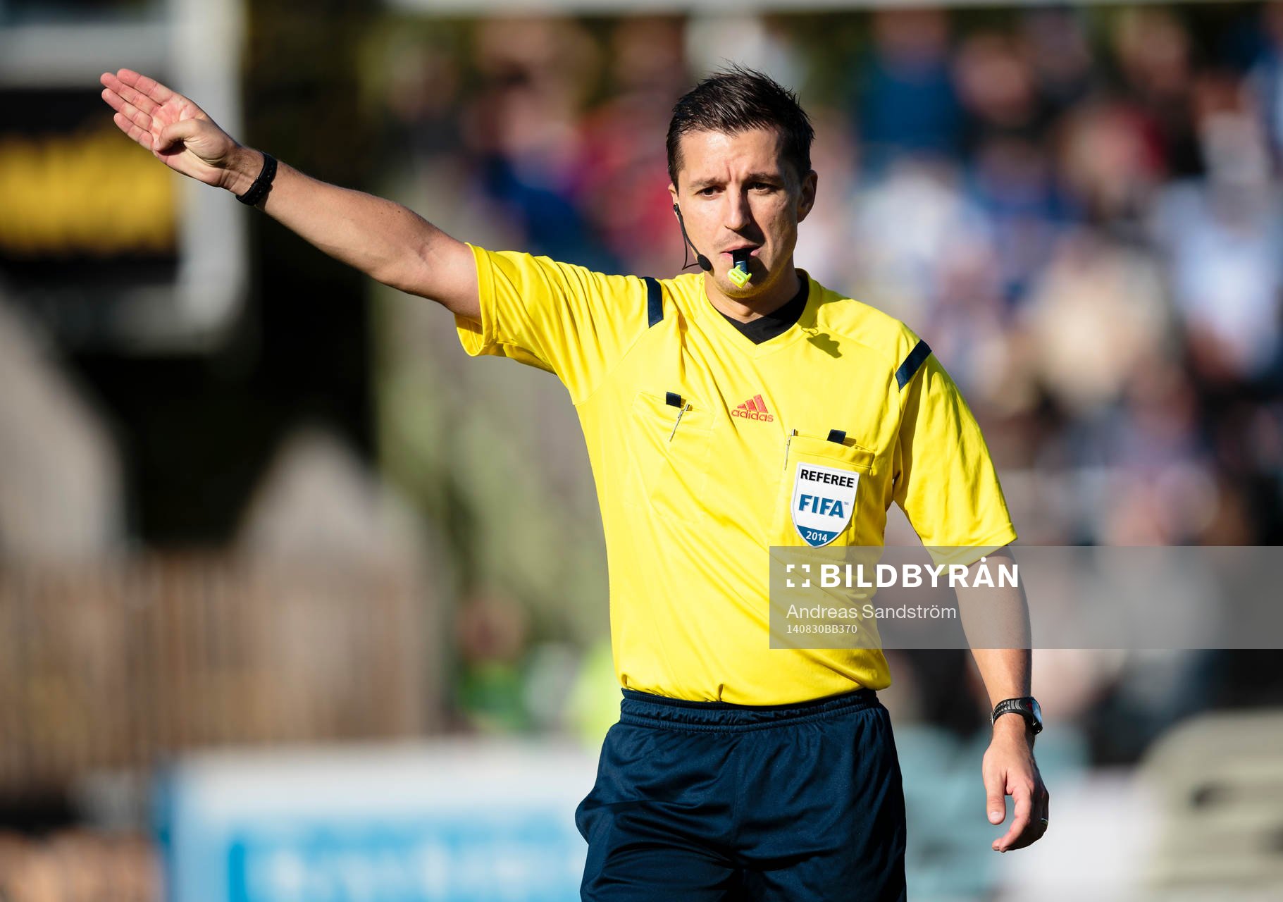 Domare Bojan Pandzic