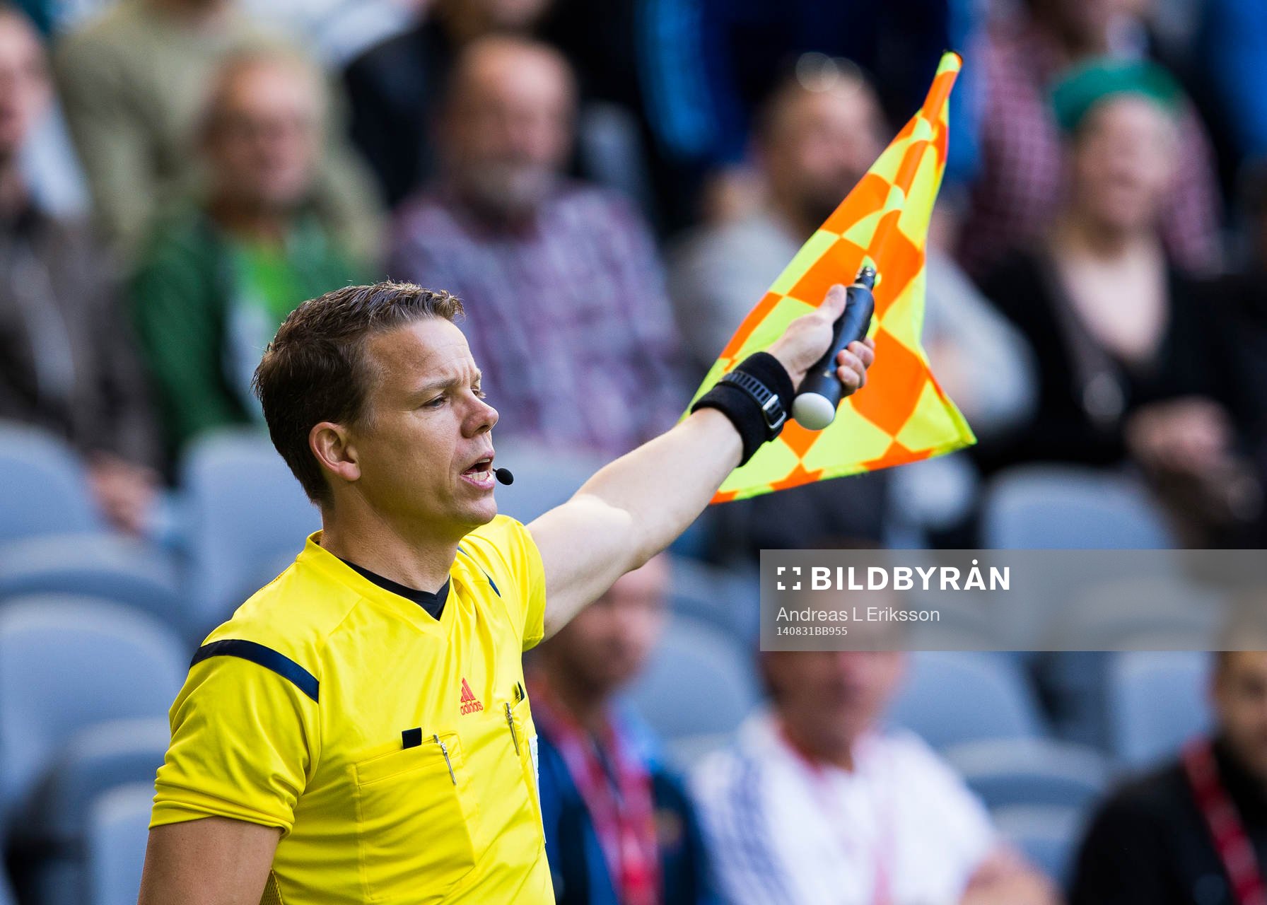 Linjedomare Daniel Wärnmark