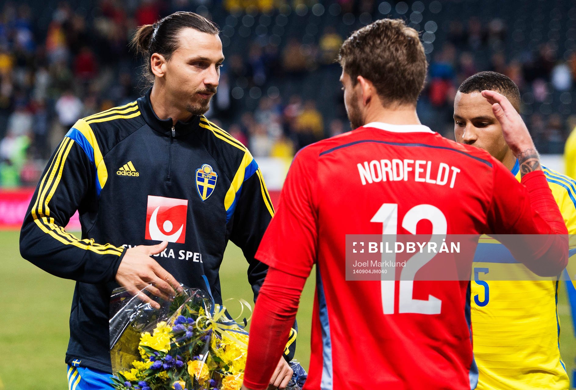 Sveriges Zlatan Ibrahimovic, målvakt Kristoffer Nordfeldt