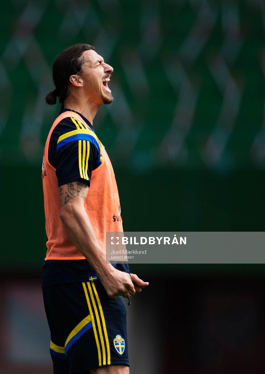 Zlatan Ibrahimovic vrålar