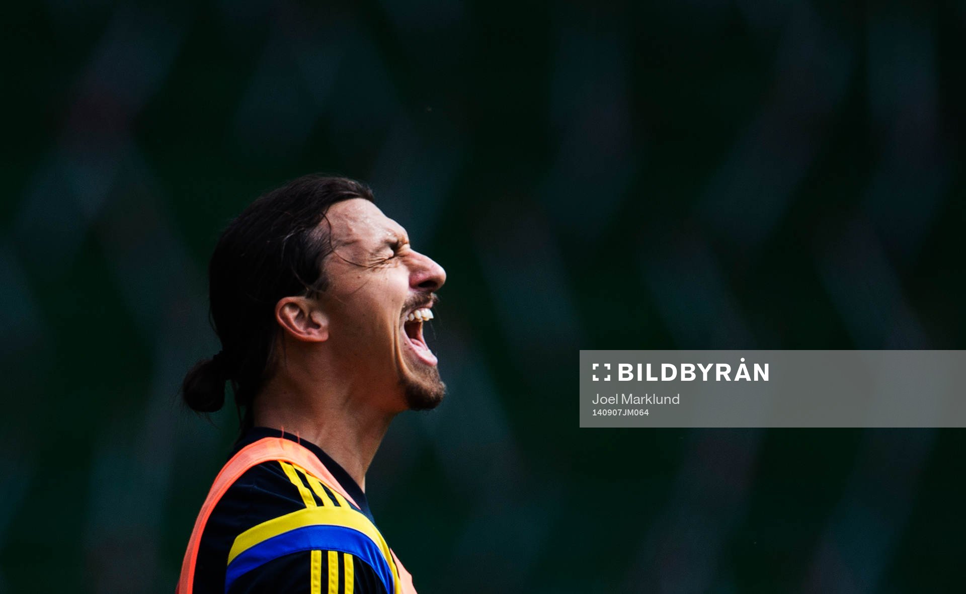Zlatan Ibrahimovic vrålar