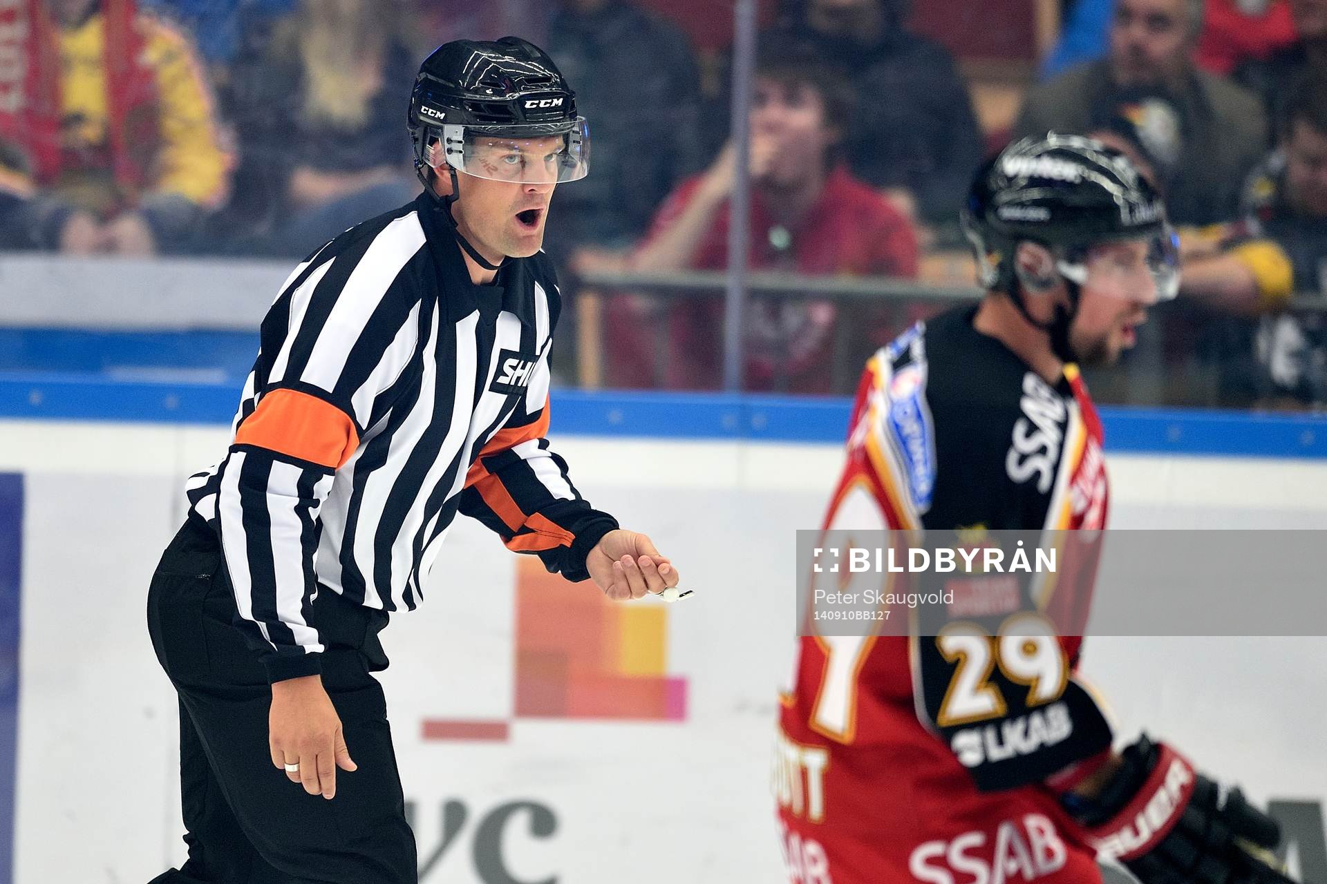 Domare Mikael Nord pratar med Luleås Chris Abbott