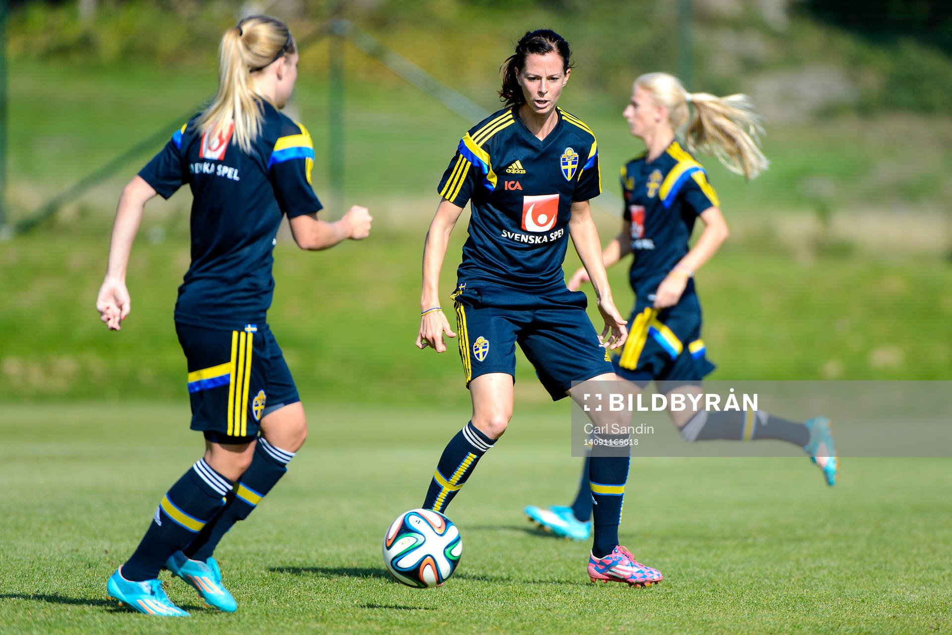 Lotta Schelin