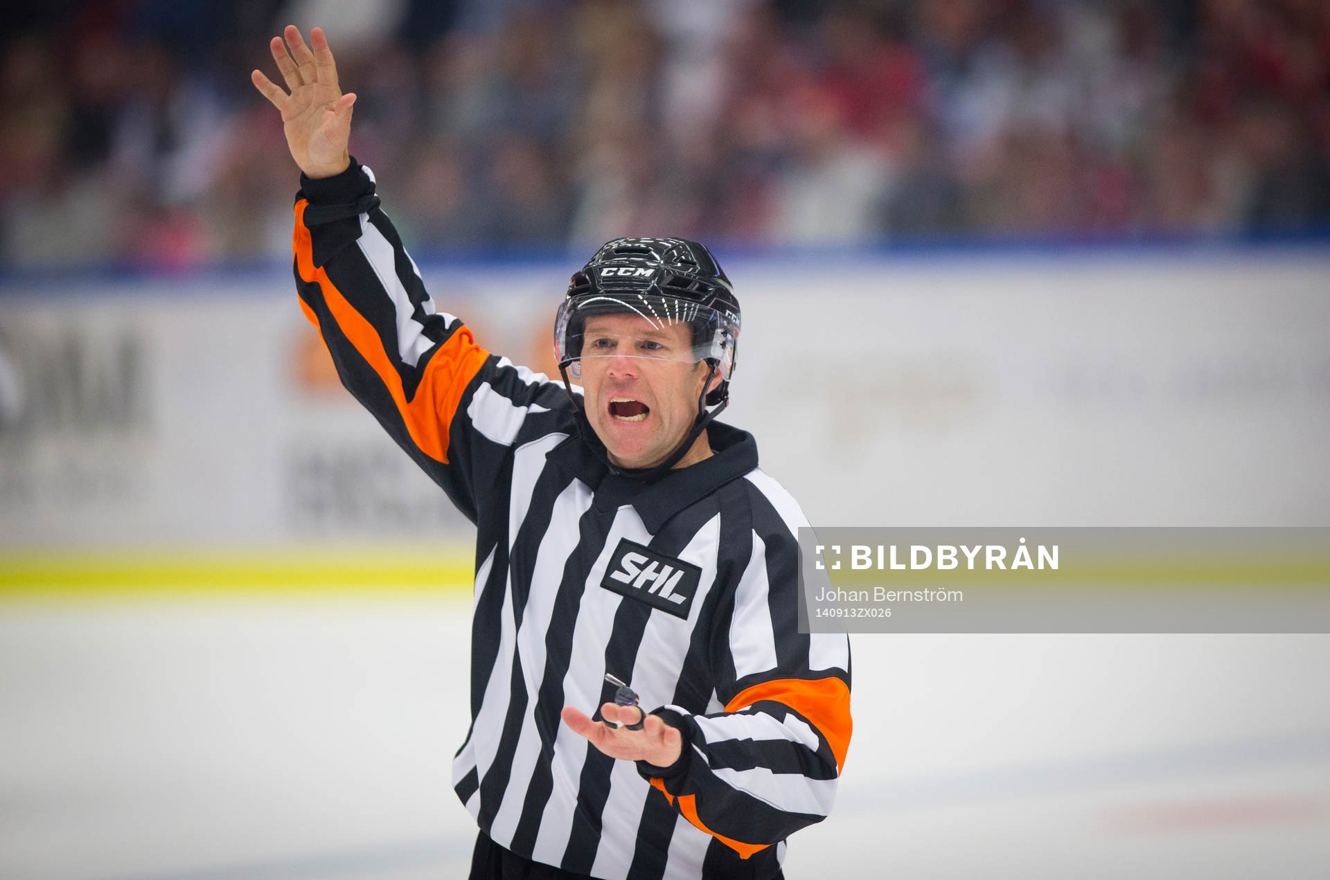 Huvuddomare Wolmer Edqvist