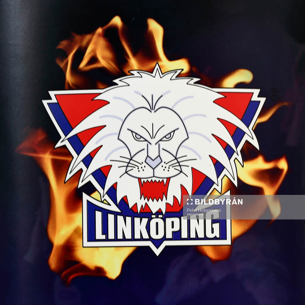 Linköpings emblem