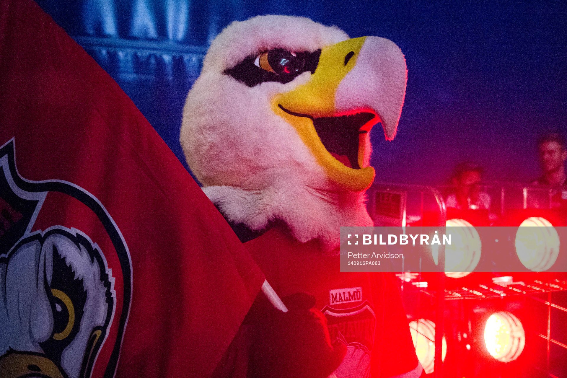 Malmö Redhawks maskot Hawkan