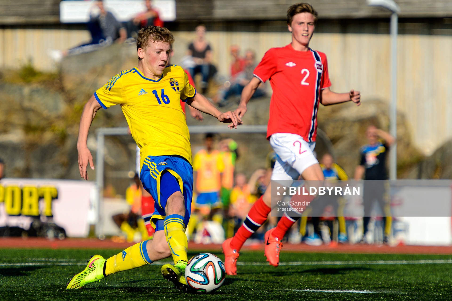 Sveriges Teddy Bergqvist