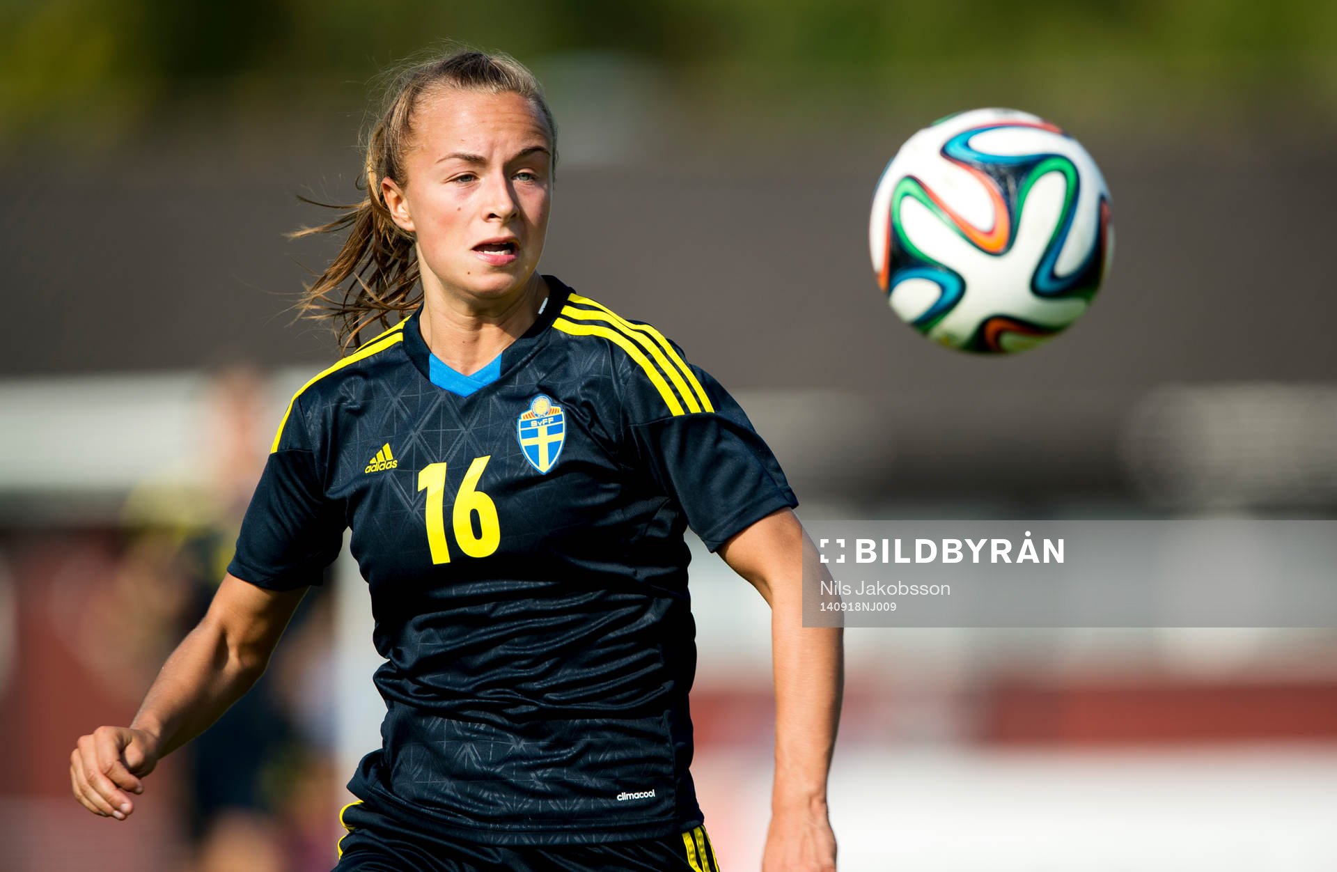 Sveriges Maja Norrhamn