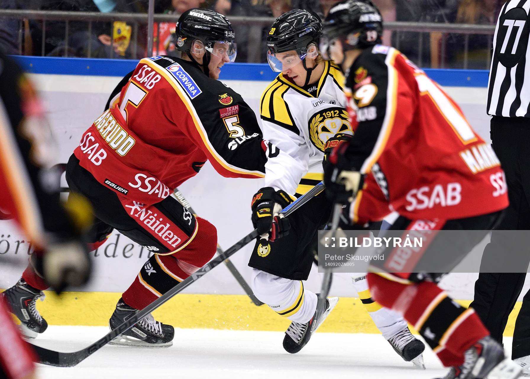 Brynäs Adam Brodecki