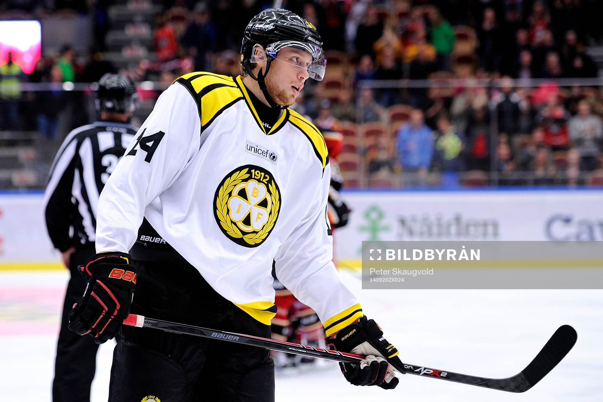 Brynäs David Westlund