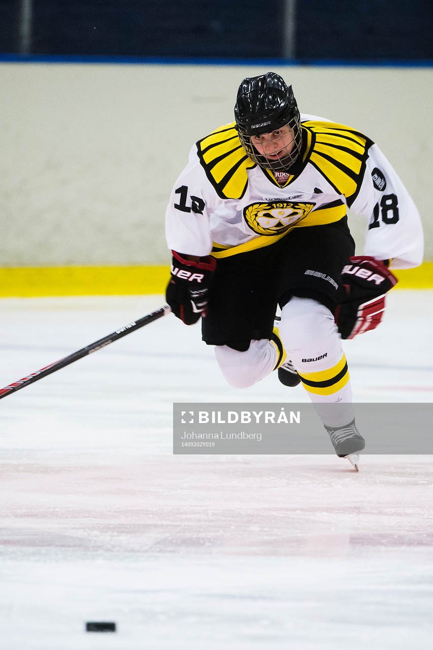 Brynäs Anna Borgqvist
