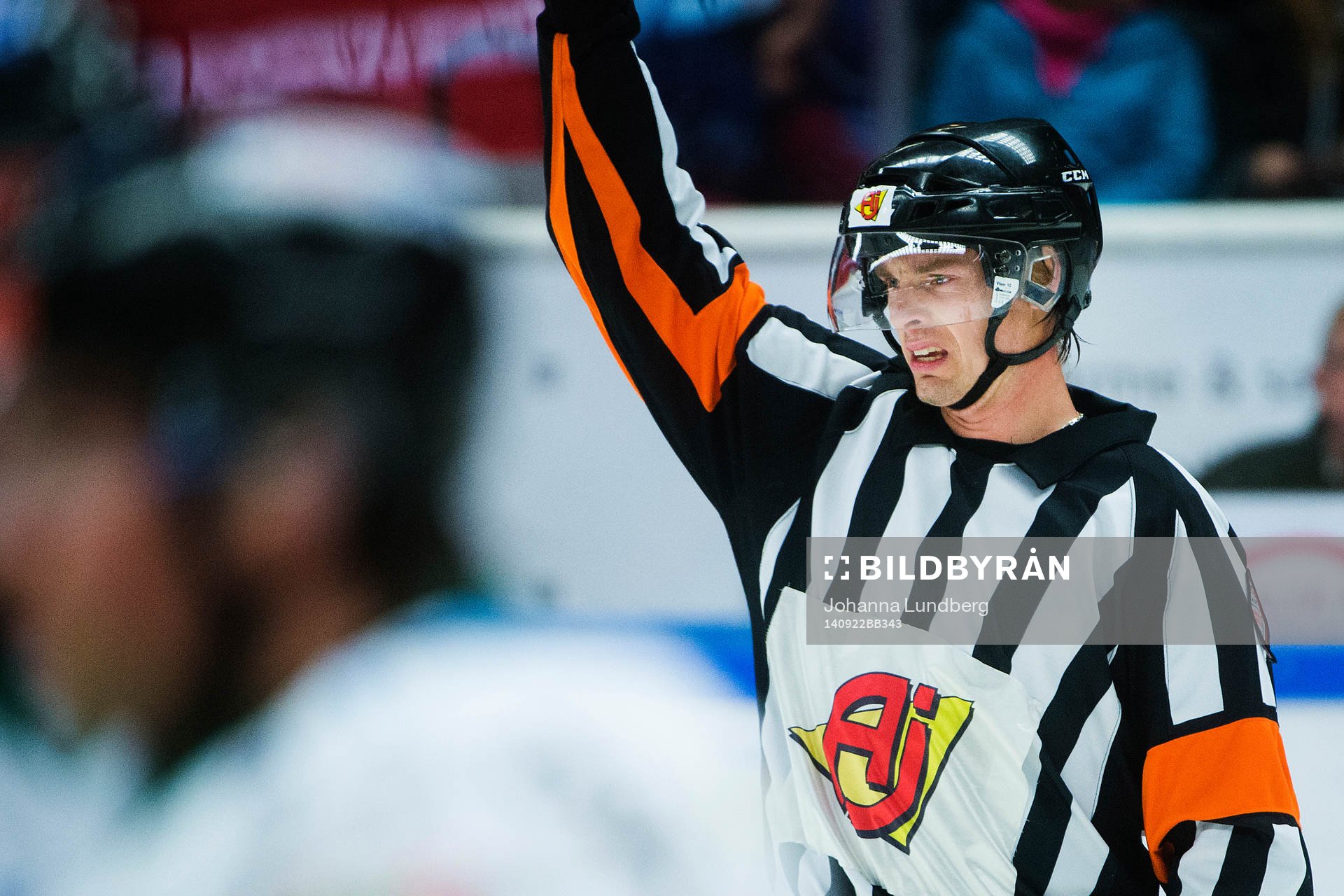 Domare Mikael Andersson