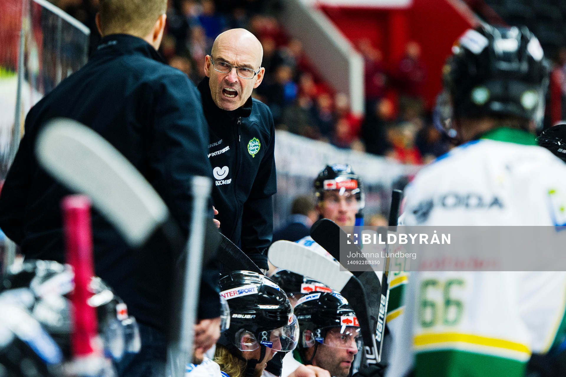 Björklövens tränare Mats Waltin