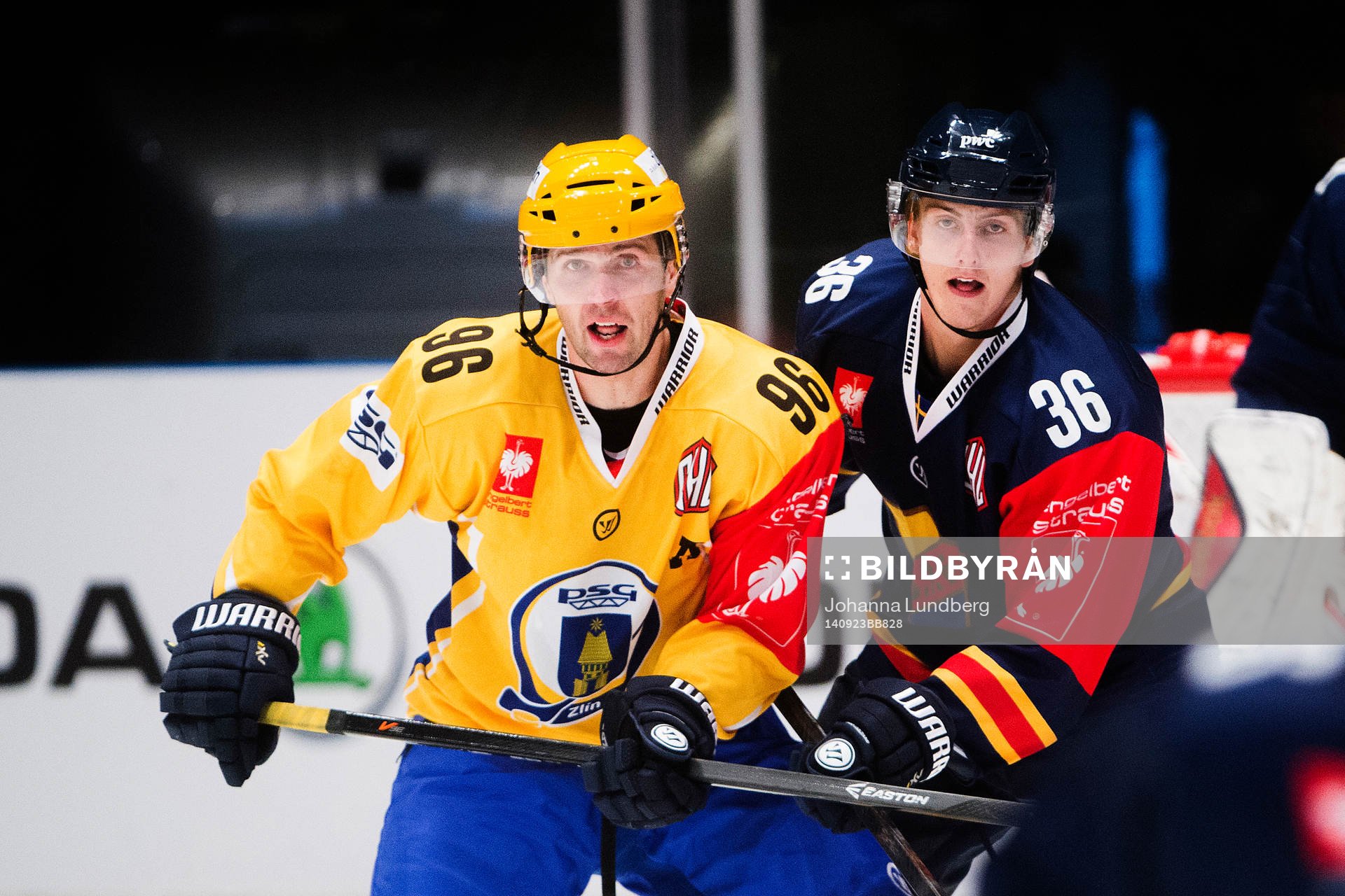 Zlins Jaroslav Balastik och Djurgårdens Philip Holm