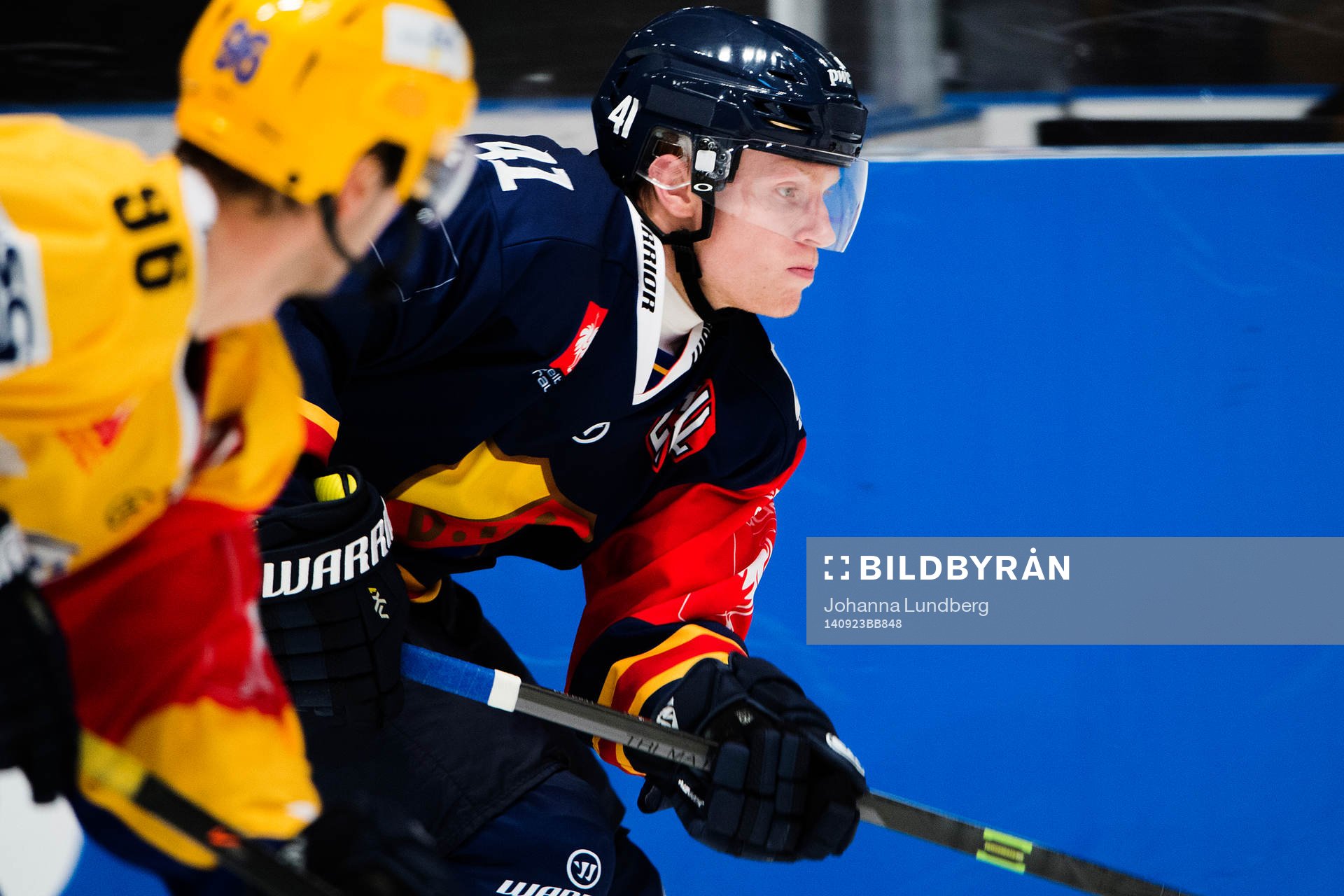 Djurgårdens Alexander Falk